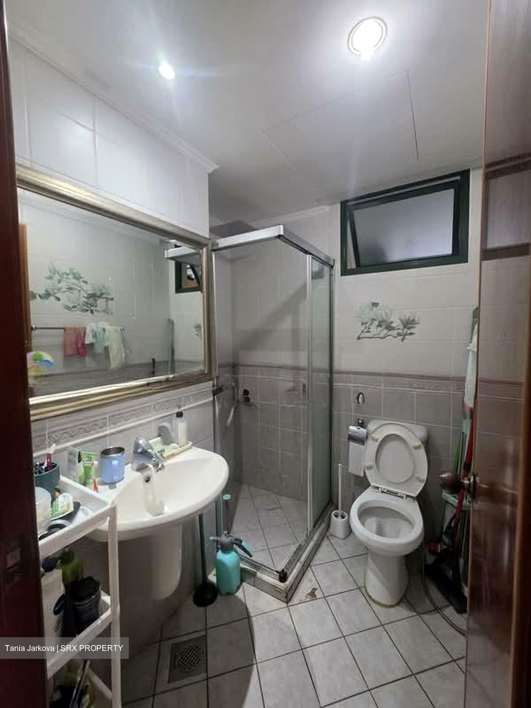 Parc Palais (D21), Condominium #539845841